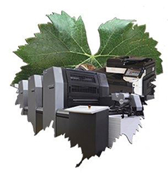 Logo MEDOC COPY