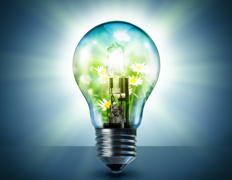 Choisir un imprimeur écologique : Astuces pour un choix éclairé