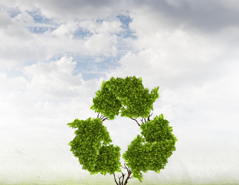 Journée mondiale du recyclage